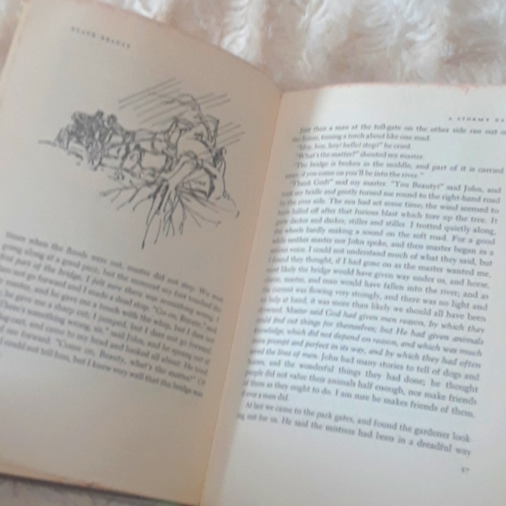 Two Vintage 1950's Books BLACK BEAUTY &  Grimm Brothers - Picture 5 of 12